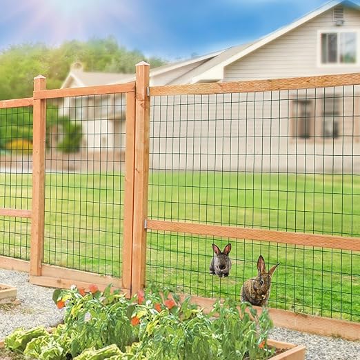 Green PVC Coated Welded Wire Fence 56 Inch x 50 Foot, 2 Inch x 4 Inch 14GA, Garden Border Fencing Roll Vinyl Coating Metal Wire Mesh Hardware Cloth for Yard Vegetable Plant Protection