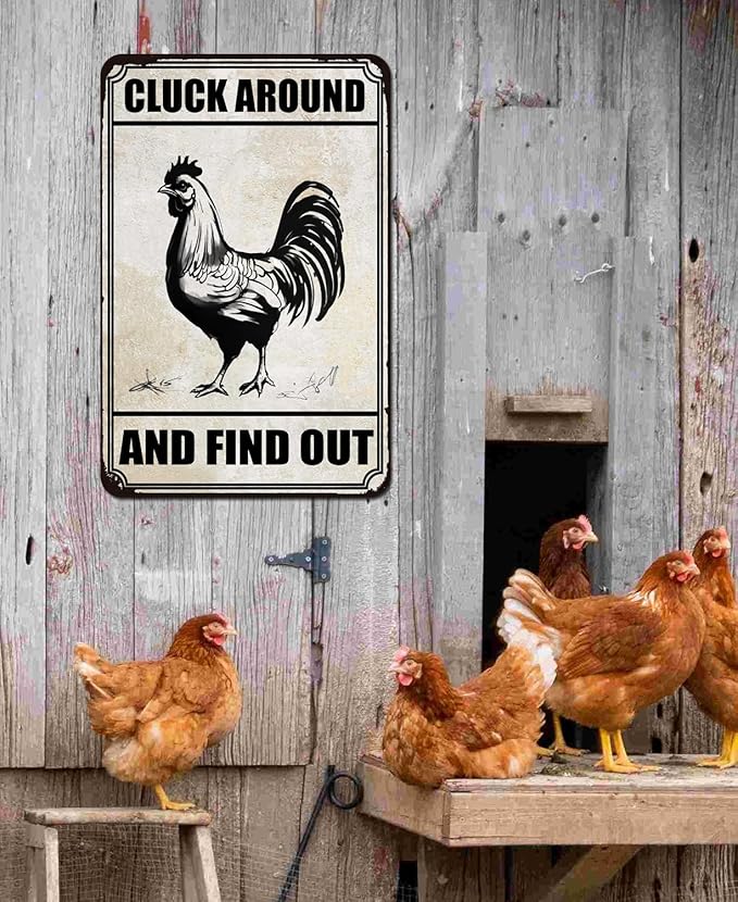 Chiken Gifts Funny Chicken Metal Sign For Home Chicken Decor Coop Rooster Decorations Farm Kitchen Chicken Wall Stuff 8x12 Inches