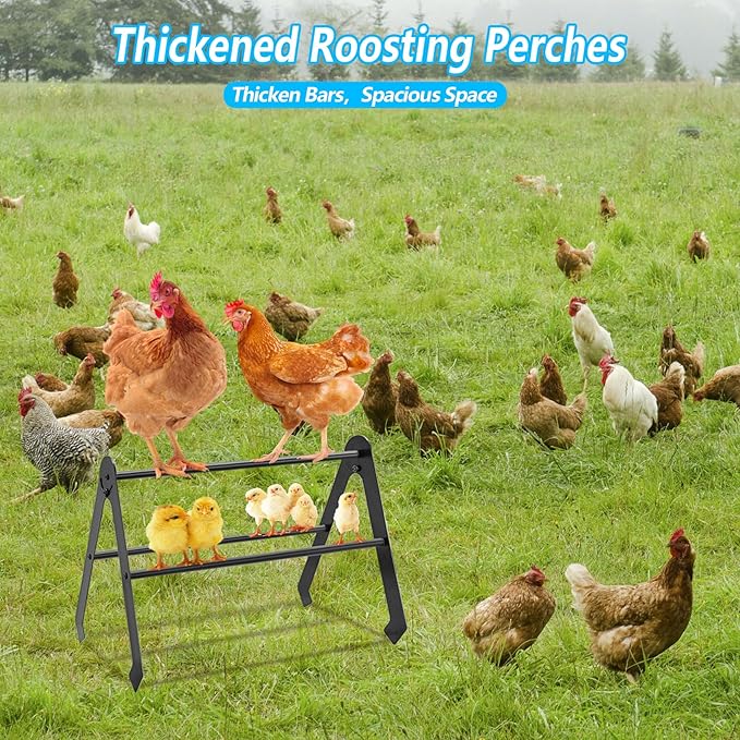 Adjustable Chicken Perch for Coop - Metal Chicken Roosting Bars for Hens, Chicks & Pullets - Heavy Duty Brooder Roost Set (Black) - Fits All Chicken Coops & Farms