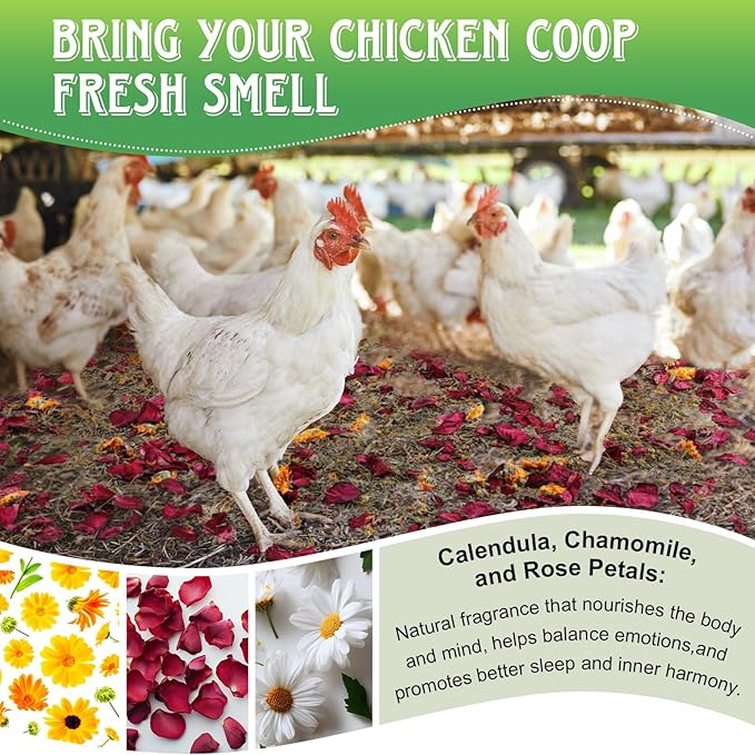 21Oz Chicken Nesting Herbs (1.3 Pounds), 6 Natural Dried Nesting Herbs for Chicken Coop, Aromatic Hen Feed Supplies in Vacuum Packaging for Nest Box/Dust Bath