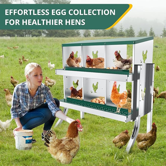6 Compartment Chicken Nesting Box - Heavy Duty Metal Coop with Roll Away Egg Collection, Perch, Lid Cover for Egg Protection - Wall Mount/Free Standing Nest Box for Chickens, Hens, Ducks