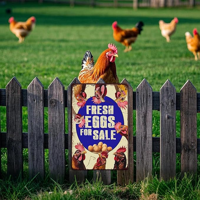 Vintage Fresh Eggs & Chicken Metal Sign Rustic Farm Eggs For Sale Tin Poster Home Kitchen Farmhouse Chicken Wall Decor 12x16 Inch