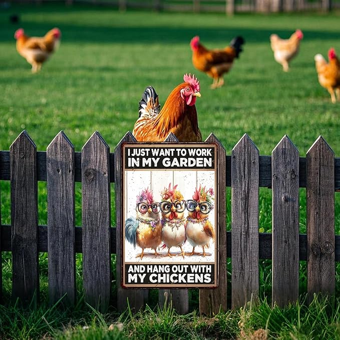 Funny Chicken Signs Garden And Hang Out With My Chickens Aluminium Sign Metal Chicken Signs Decor Home Ktichen Farm Are Wall 12x16 Inch Vintage Chicken Signs For Coop Metal Tin Signs Poster