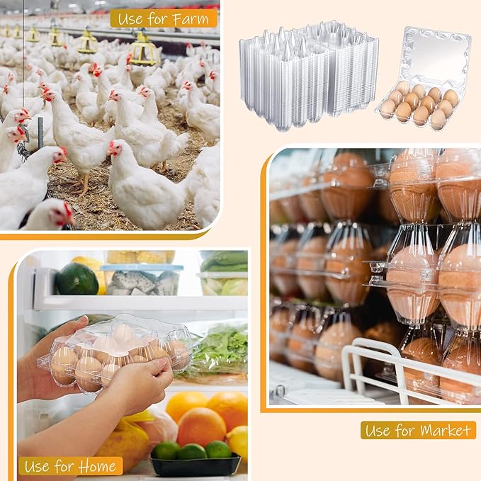 Zubebe 400 Pcs Plastic Egg Cartons Clear Egg Cartons Bulk Blank Tray for Chicken Farm Business Market Home Refrigerator Storage