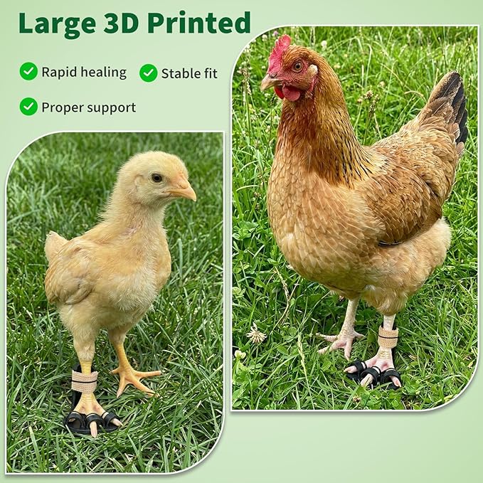 4 Size Chicken Leg Splints with Toe Separator, Durable and Unbreakable PETG Material for Broken Leg Bumblefoot Curled Toes, Reinforced Poultry Leg Brace for Hens Chicks Ducks