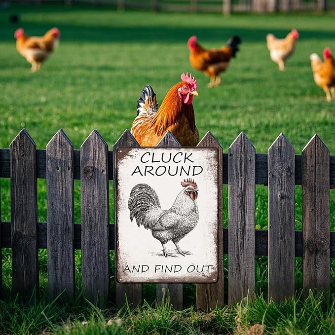 Vintage Tin Metal Aluminum Sign Chicken Cluck Around And Find Out Iron Painting Vintage Wall Decoration Poster For Home Garden Yard Garage Bar Shop 12x16 Inch