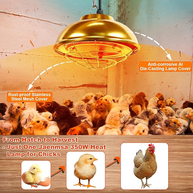 Heat Lamp for Chickens Coop Heater,350W Chick Brooder Heater for Chicks Poultry Coop,Small Pets Heating Warmer Lamp for Winter Indoor/Outdoor Ducks Rabbit Dogs W/ 2 Adjustable Temp(350W/180W)