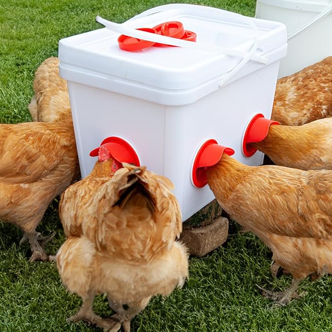 Chicken Feeder No Waste Automatic Poultry Feeder DIY Chicken Feeders and Waterer Set 6 Chicken Feeders Ports Auto Chicken Feeder Kit