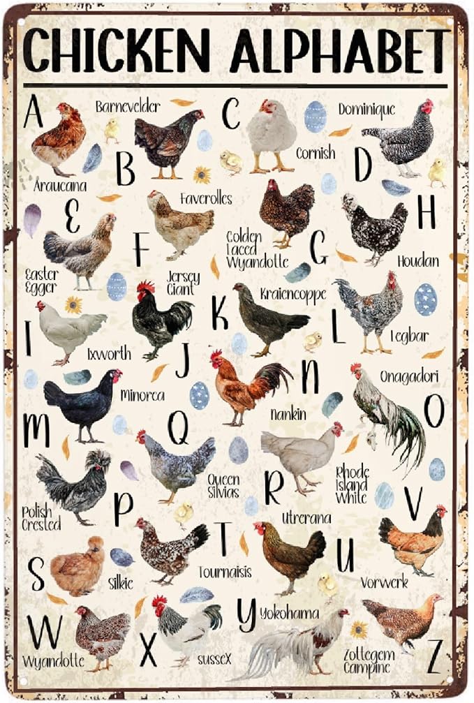 JOCASA Chicken Alphabet Vintage Metal Poster Farm Sign Decor-Retro Aluminum Metal Tin Sign for Home Wall Decor, Kitchen Farmhouse Country Farm Barn, Chicken Coop Outdoor Wall Signs Gift,12''x 8''