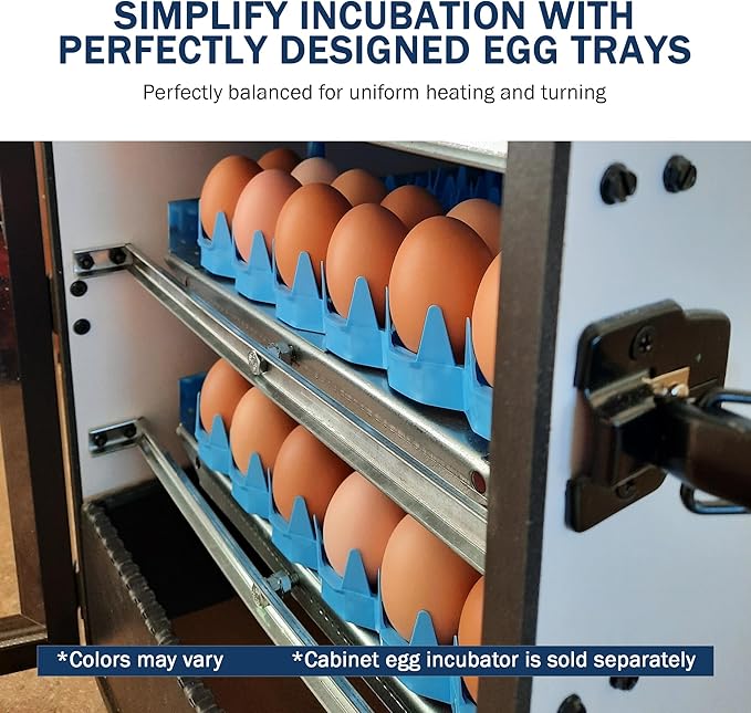 Universal Chicken Egg Trays (6 pack)