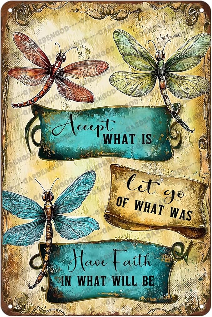 Dragonfly Decorinspirational Metal Vintage Tin Sign Accept What Is Let Go Of What Was Have Faith In What Will Be Room Decoration 12x8 Inch