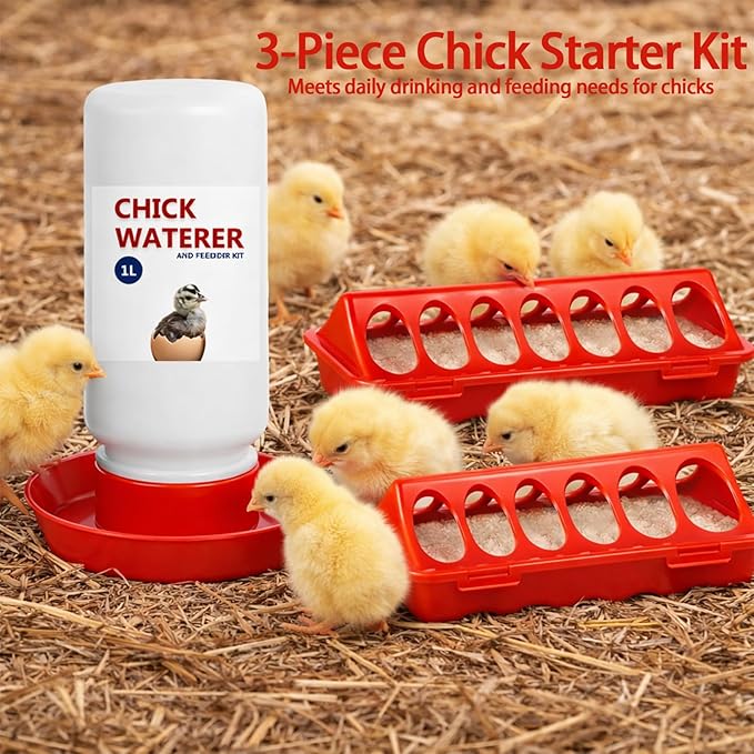 Chick Feeder and Waterer Set, 3 Pcs Baby Chicken Supplies with Chicks Feeder Trough and 1L Waterer, Chicken Starter Kit for Small Poultry Ducks Quail Coop