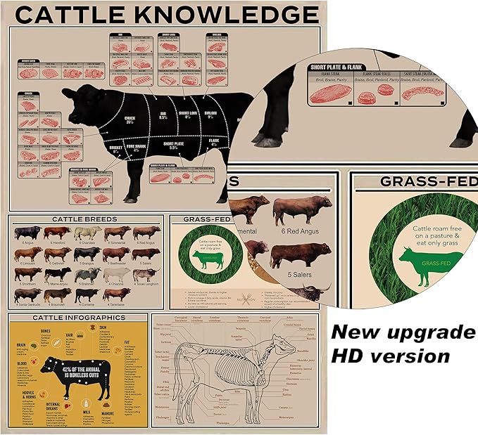 PAIION Cattle Knowledge Metal Tin Sign Breed Information Poster Animal Farm Anatomy Club School Educational Wall Decoration 16x12 Inch
