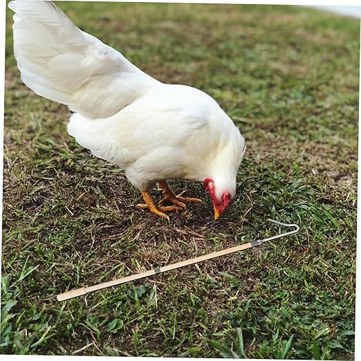 Chicken Catcher Hook Tool Sturdy Construction for Efficiently Catching Chickens Ducks and Geese Farms Multipurpose Animal Catching Safe and Simple to Use