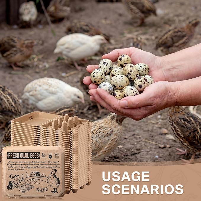 Honeydak 100 Pack Quail Egg Cartons 12 Count Paper Pulp Egg Trays with Buckle 3x4 Style Reusable Stackable Holders Container Storage Box for Farmers Kitchen Supermarkets Home, 8.27x5.51x1.57 in