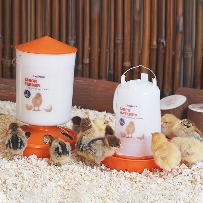 Chick Feeder and Waterer Set, Top Fill 3kg Chick Feeder and 1.5L Chick Waterer with 3 Adjustable Heights