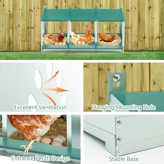 Chicken Nesting Box, 3 Compartment Hens Nest Boxes, Metal Nesting Chicken Laying Box for Outdoor Chicken Coop Cages Farm Yard, Green (3 Holes)