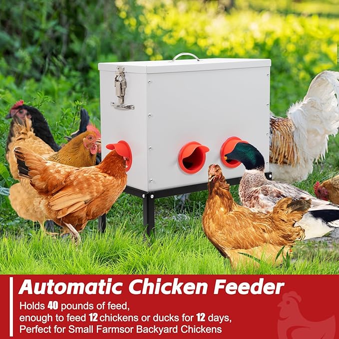 Automatic Chicken Feeder with Locking Lid and Base, 40 lb 6 Mouth Large Metal Chicken Feeders, No Waste Poultry Feeder Fit for Hen Coop