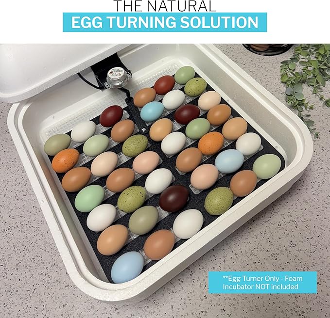 Incubator Warehouse IncuTurn™ Automatic Egg Turner for HovaBator Egg Incubators - Universal Hovabator Incubator Egg Turner Tray - Auto Egg Turner for 42 Chicken 70 Quail 28 Goose Eggs(Egg Turner ONLY)