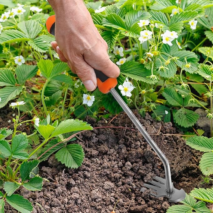 QWORK 2 Pack Weed Puller Tool with Ergonomic Handle - Uprooting Weeding Tool for Yard, Farm, Garden | Stainless Steel Weed Remover Tool| Multi-Functional Crescent Shovel for Efficient Weed Control