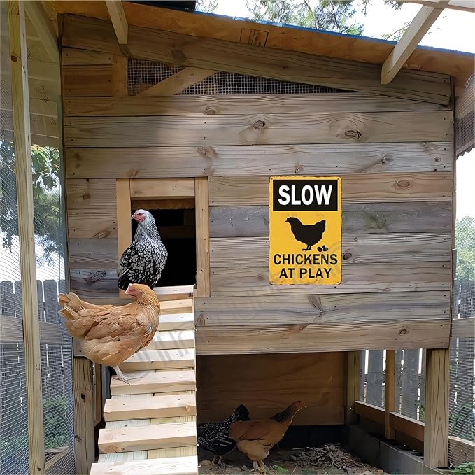 Slow Sign Chickens at Play Chicken Crossing Warning Sign 8x12 Inch Funny Sign, Chicken Coop, Yard, House Decor - Weather Resistant Fade UV Resistant