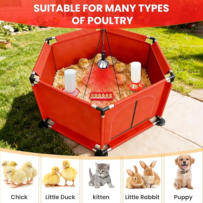 Chicks Brooder Box for Chicken Starter Kit–Includes Heat Lamp, Chick Feeder and Waterer Set, Perch & Sawdust for Up to 30 Baby Chicks, Ducklings & Quail–Complete Poultry Brooder Set