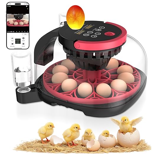 Incubators for Hatching Eggs with Automatic Egg Turning and Humidity Control, with Remote APP Control, 12 Egg Capacity, for Chicken Duck Pigeon Quail