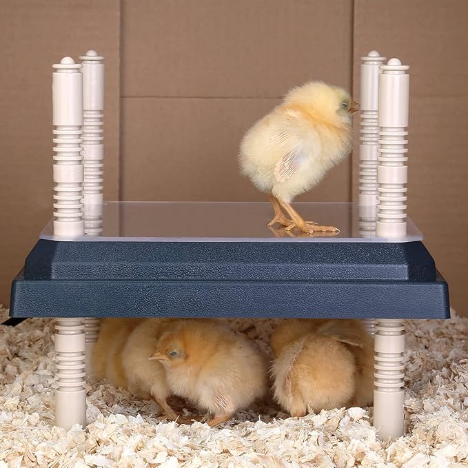 Brooder Heater for Chicks: Chick Brooder Heating Plate with Easy- Cleaning Plate Poultry Coop Heater Chicks Warmer 10" x 10" for 15 Chicks Adjustable Height Brooding Heater 15 Watts