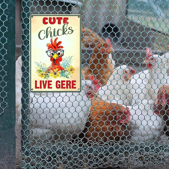 Vintage Chicken Sign Cute Chicks Live Here Metal Country Chicken Hen Rooster Tin Signs Funny Coop Signs Outdoor Decor for Lovers House Decor 12 * 8inch