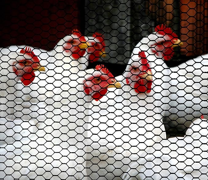 Boen Poultry hex Netting Plastic Temporary Barrier Chicken Wire Protection for Yard (2' x 25', Black)