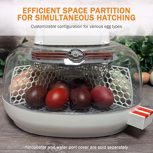 Incubator Warehouse Hatch Divider for Nurture Right 360 Egg Incubator - Egg Incubator Divider with Mesh Design - Easy Install Egg Divider - Nurture Right 360 Divider for Chicken Quail Goose Duck Eggs