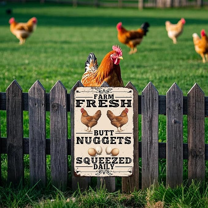 Funny Chicken Coop Tin Sign Vintage Farm Fresh Butt Nuggets Chicken Metal Sign Home Kitchen Outdoor Farmhouse Garden Wall Decor Poster 12x16 Inch