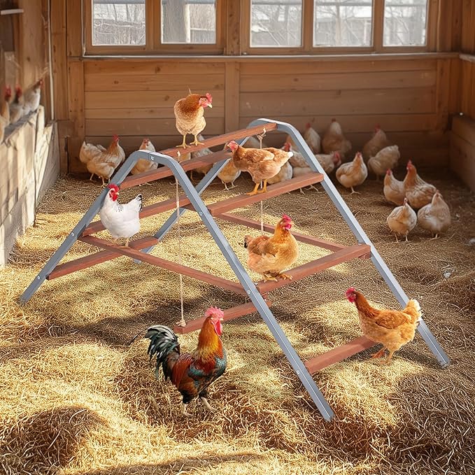 PETSFIT Chicken Roosting Bar-Solid Wood and Rustproof Iron Design, Chicken Perch with Swing for Healthy Poultry-Ideal for Backyard Coops, Farms, Easy to Assemble and Clean