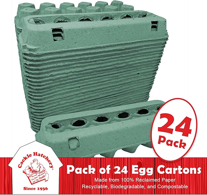 Vented Paper Pulp Egg Cartons - Teal (24)
