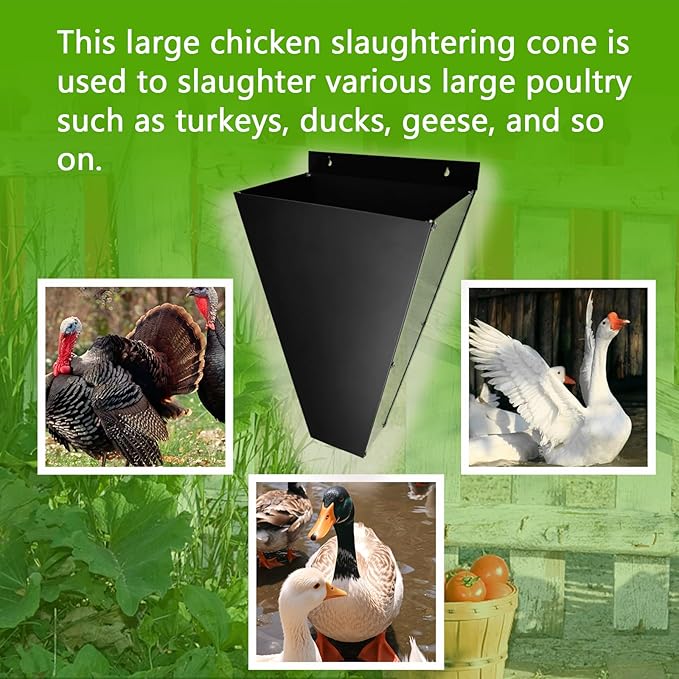 Chicken Cone for Butchering Farm Level Chicken Slaughtering Cone - Rust Resistant and Durable, Instant Installation, Preferred by Professional Poultry Handlers (Large)