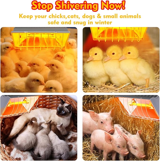 250W Brooder Heater for Chicks,Chicken Coop Brooder Heating Lamp Warmer 2 Pack with 2Pcs Infrared Heat Bulbs,2 Adjustable Temp(250W/175w) & Hight for Poultry Coop and Small Pets