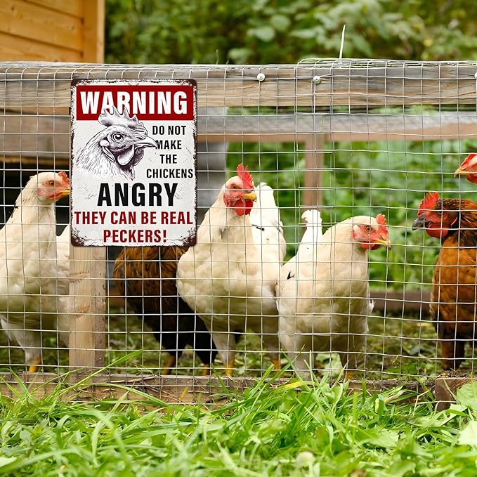 Chicken Coop Vintage Metal Tin Sign Warning Do Not Make The Chickens Angry Funny Outdoor Sign for Farm Wall Decor 12 * 16inch