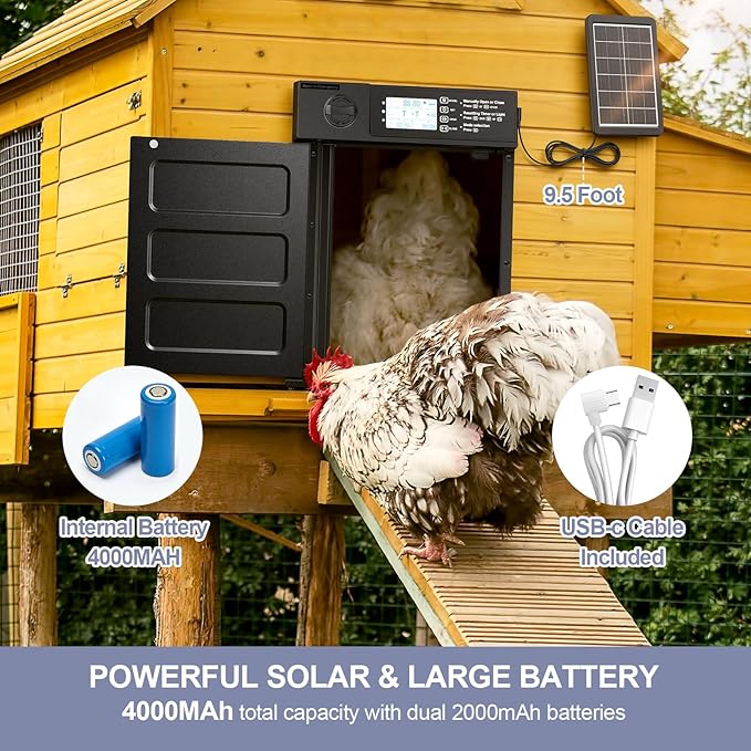 Large Size Automatic Chicken Coop Door Solar Powered, 4000MAh Internal Battery Automatic Coop Door Anti-hit Side Charging Port, Automatic Chicken Door with Timer & Light Sensor 4Modes & Remote Control