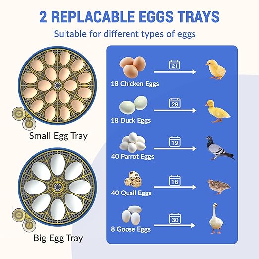 18 Egg Incubator with Auto-Turning & Humidity Control, 2025 Smart Digital Incubators for Hatching Eggs - LED Egg Candler, 360° View, Auto-Stop, Dual Water Tanks, Fits Chicken/Duck/Quail/Goose