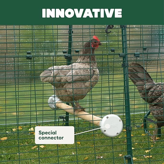 Omlet Chicken Perch | Eucalyptus Wood Roosting Bar for Poultry Runs | Weather-Resistant Outdoor Chicken Perch with Innovative Bracket Design | Fun and Durable Hen Accessory | 3ft