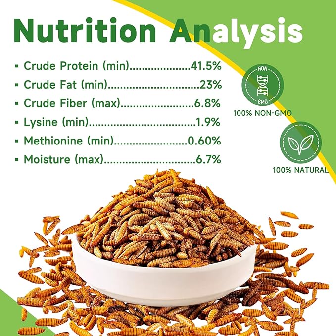 500g Dried Black Soldier Fly Larvae Treat for Chicken, 100% Natural Non-GMO More Calcium Than Dried Mealworms High Protein Chicken Feed for Birds, Ducks, Layer Hens