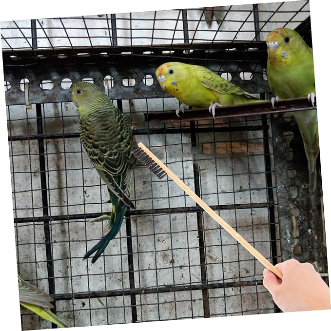 2pcs Bird Cage Cleaning Brush Shovel Set Guinea Pig Bunny Chicken Coop Reptile Cage Accessory Pet Bird Small Animal Garden Cleaning Tool