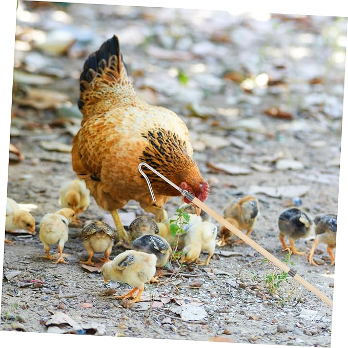 Garneck Animal Catch Net Chicken Legs Butchering Equipment Chicken Catcher Hook Poultry Handling Tool