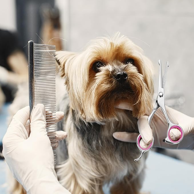 4.5 Inch Dog Grooming Scissors with Safety Round Tips, Fcysy Small Pet Hair Trimming Scissors for Face, Eyes, Ears, Nose & Paws, Professional Puppy Grooming Shears for Dogs & Cats- Black