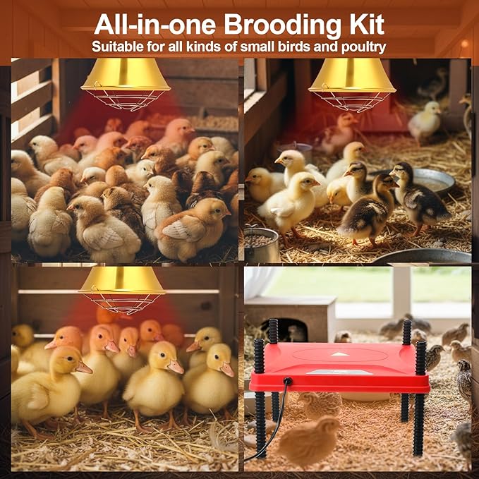 Retisee Chick Start Kit, All in One Brooder Kit Including 12" x 12" Heat Plate 150w Chicken Infrared Red Heat Lamp Feeder and Waterer Perch Flip Top Poultry Feeder for Newborn Livestock Duck Warm