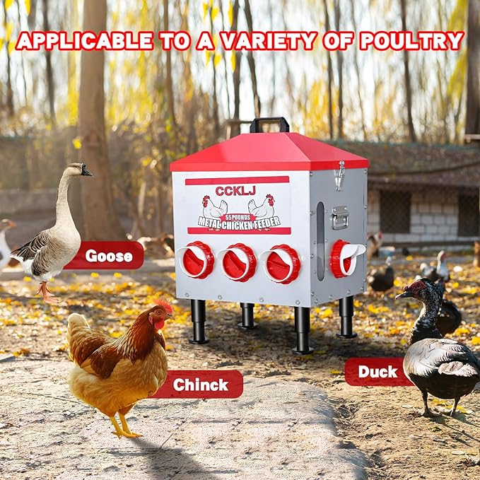55 LBS Automatic Chicken Feeder with Large View Window, 8 Anti-Waste Feed Ports, Adjustable Secure Lid for Poultry Feed Storage
