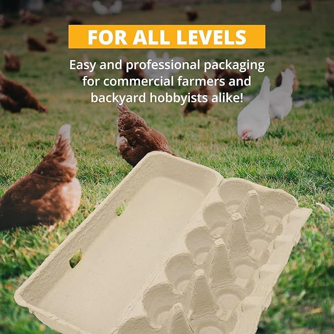 Stromberg's Large Blank Flat Top Chicken Egg Cartons, Perfect for Personalization, Eco-Friendly and Biodegradable, Made From Recycled Materials, Ideal for Farmers and Crafters, 200 Pack