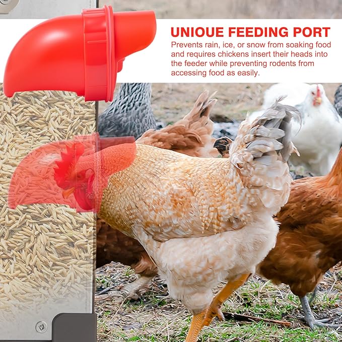 Metal Chicken Feeder, 40lb Automatic Chicken Feeder - 6 Feeding Ports, No Waste Poultry Feeder with Locking Lid & Legs for Outdoor Inside Chicken Coops Geese Ducks, Weatherproof, Rodent Proof