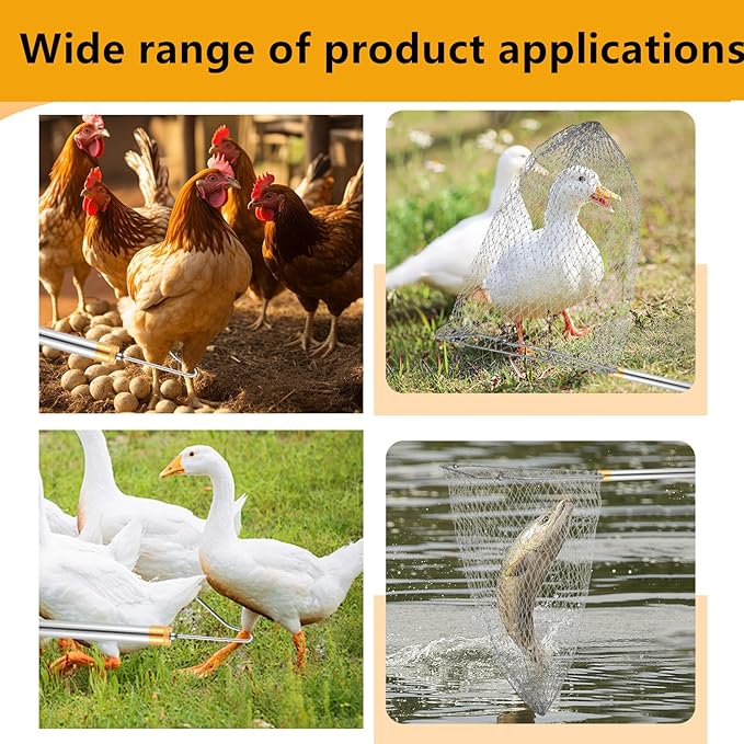 Chicken Catcher,74 inches Adjustable Pole Chicken Catcher Leg Hook, Suitable for Catching Small Duck,Goose,Bird,Fish, Skunk Bat and Raccoon etc（15.3 x 23.2 Inch Net with 75.5 Inch Pole）