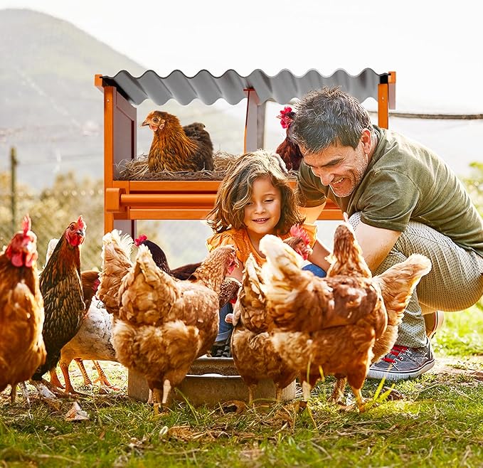 2-Tier Chicken Nesting Box, 4 Compartment Wooden Nesting Box for Chickens with Waterproof Roof, Non-Slip Stable Base, Heavy Duty Chicken Laying Boxes for Hens, Duck, Poultry, Bird, Orange